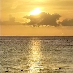 Meet your Posher, Hugo